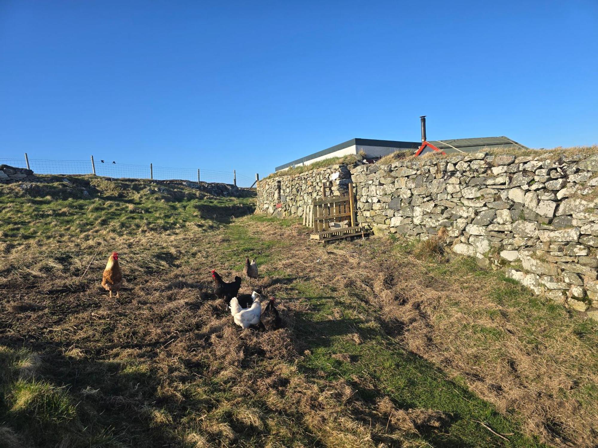 Squealing Pig Bothy Villa Barvas Dış mekan fotoğraf